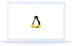 有道 Linux版